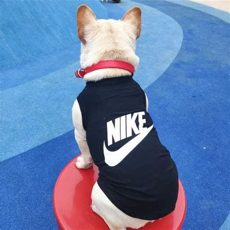 dog designer shop nike